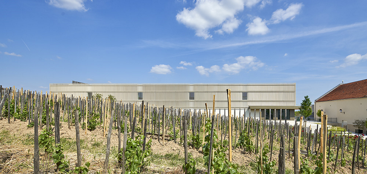 Ensemble caves et cuverie